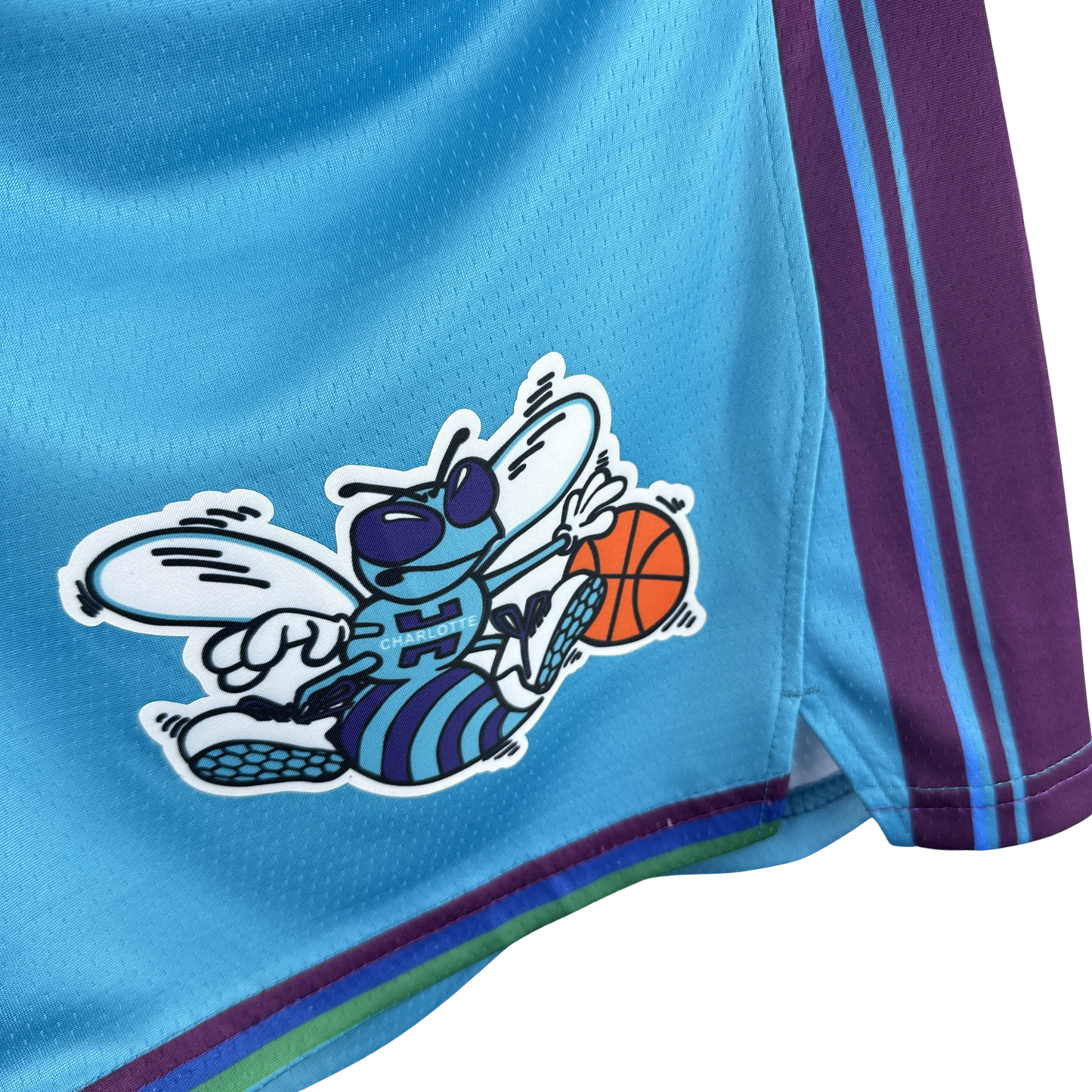 Short Jordan NBA Charlotte Hornets