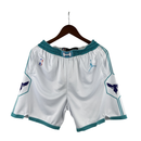 Short NBA Jordan Charlotte Hornets