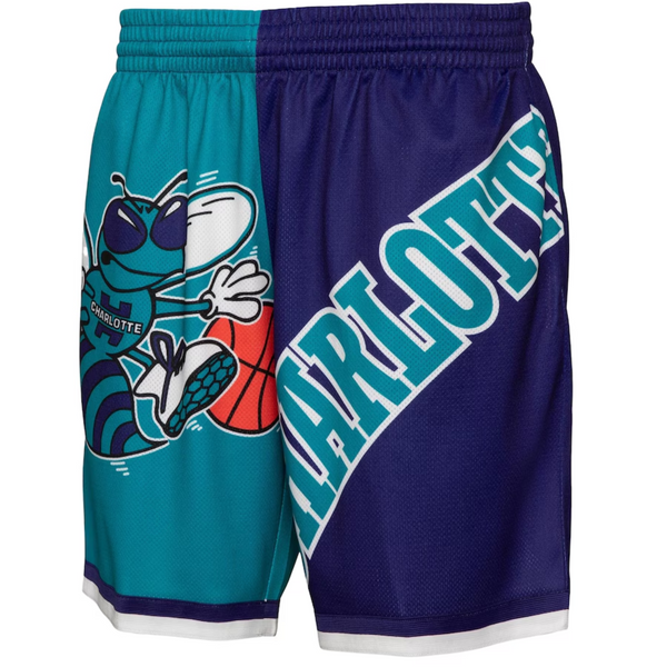 Shorts NBA Charlotte Hornets Mitchell & Ness