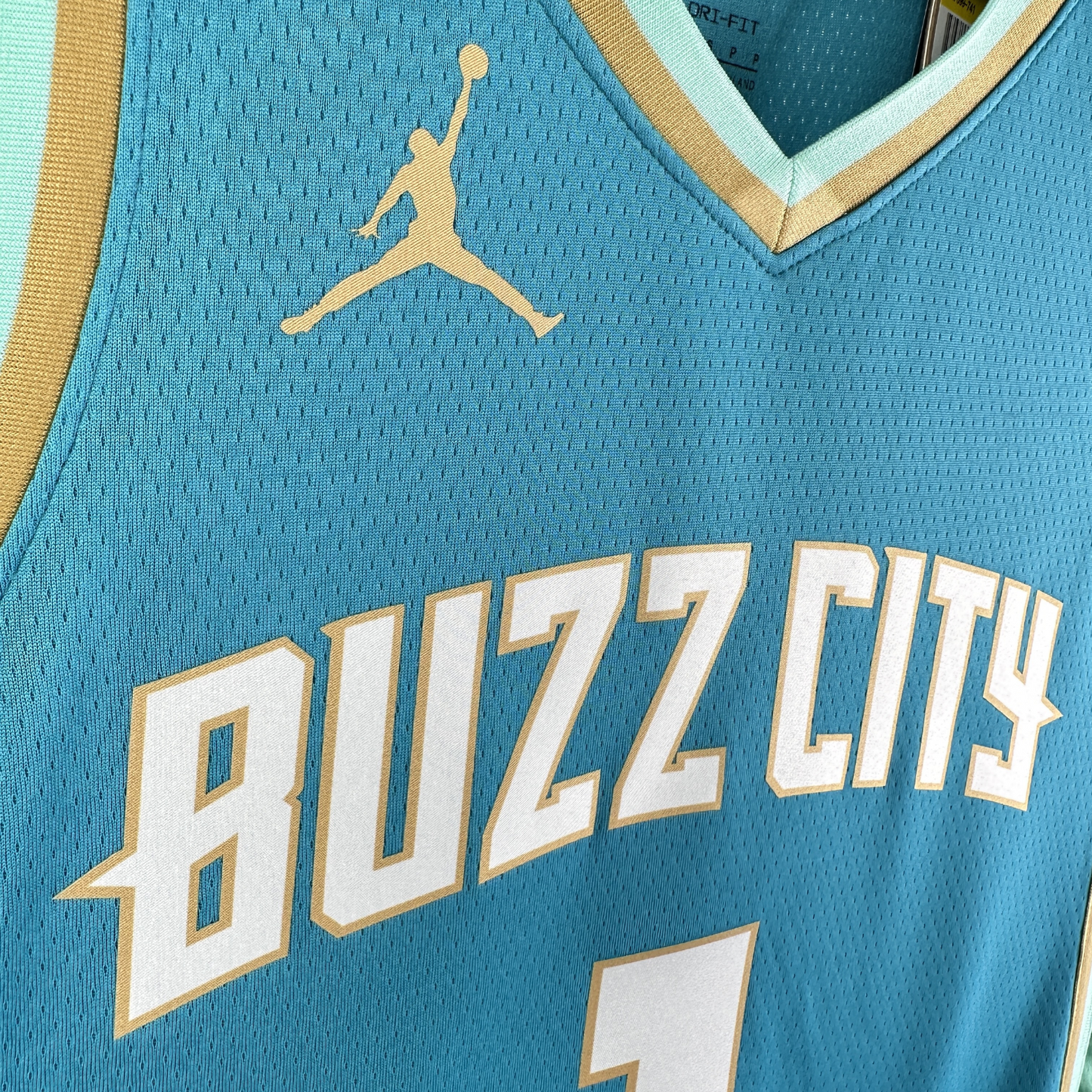 Camisa Regata Jordan NBA Charlotte Hornets City Edition 2023/24