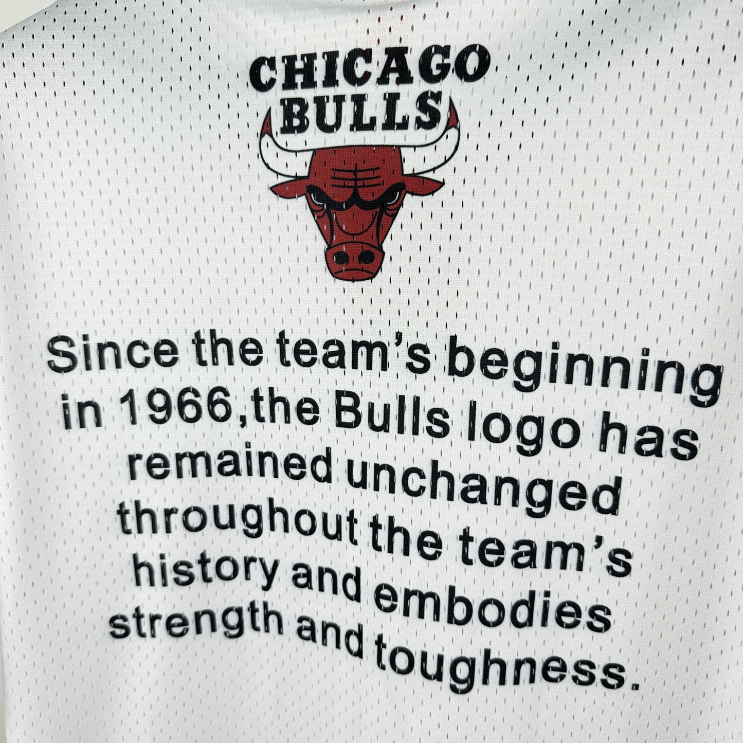 Camisa NBA Chicago Bulls Mitchell & Ness Hardwood Classics Vintage