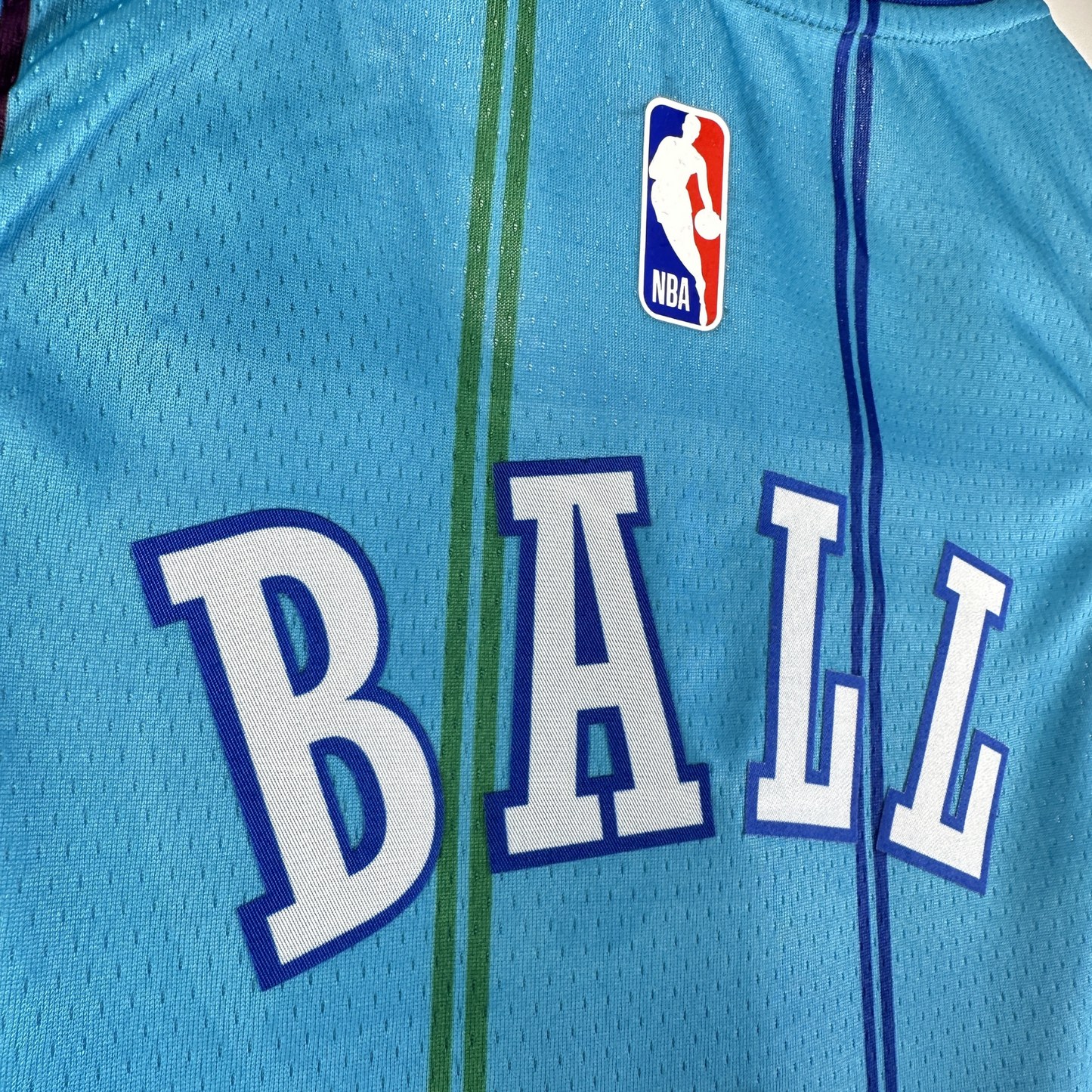 Camisa Regata Jordan NBA Charlotte Hornets Classic Edition 2023/24