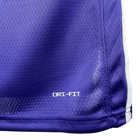 Camisa Regata Nike NBA Los Angeles Lakers 2025/26