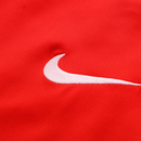 Conjunto Nike NBA Toronto Raptors