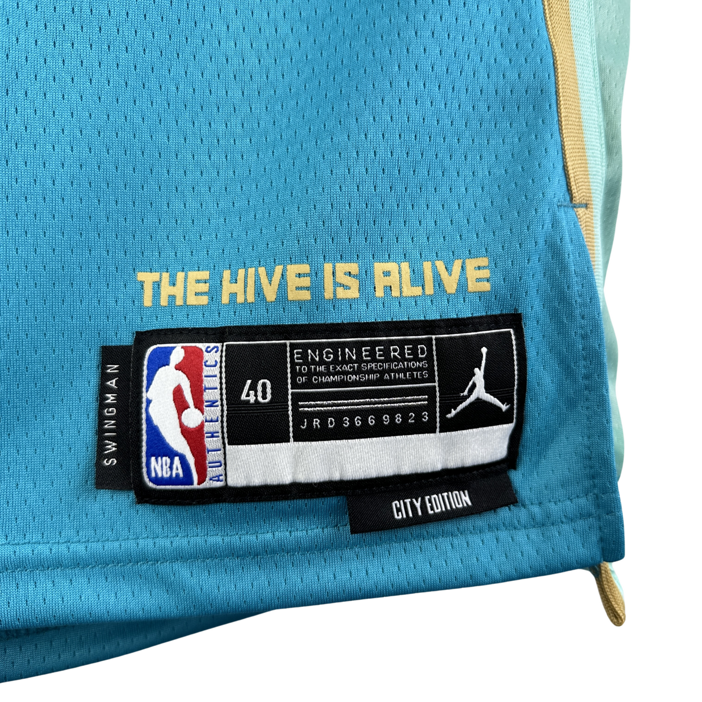 Camisa Regata Jordan NBA Charlotte Hornets City Edition 2023/24