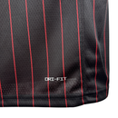 Camisa Regata Jordan NBA Chicago Bulls 2025/26