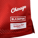Camisa Regata Chicago Bulls Mitchell & Ness Hardwood Classics Edição Limitada