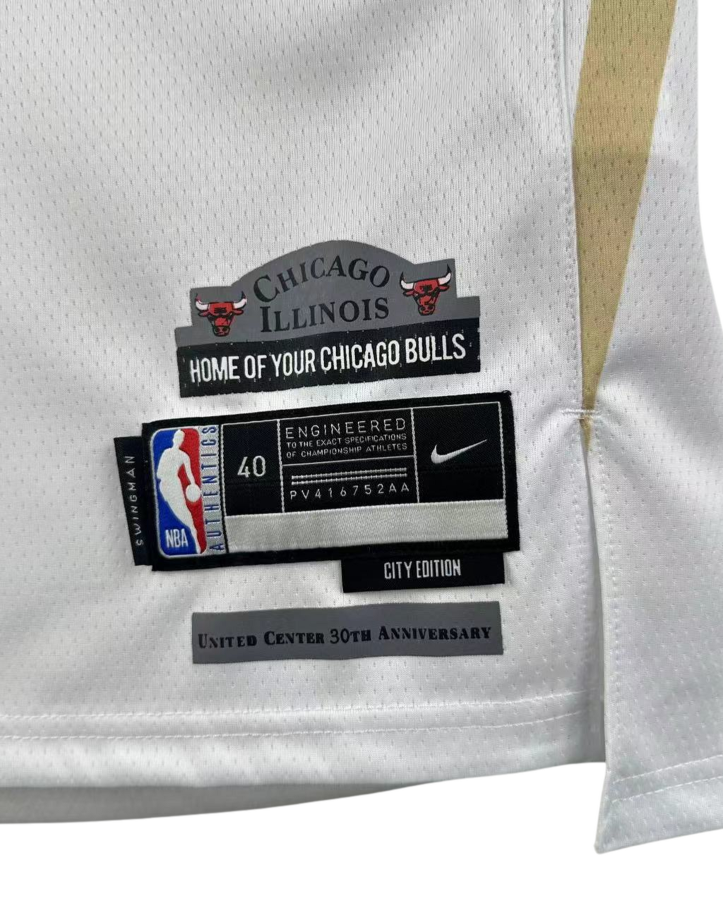 Camisa Regata Nike NBA Chicago Bulls City Edition 2024/25