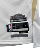 Camisa Regata Nike NBA Chicago Bulls City Edition 2024/25