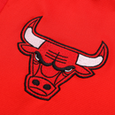 Conjunto Nike NBA Chicago Bulls