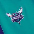 Conjunto Jordan NBA Charlotte Hornets