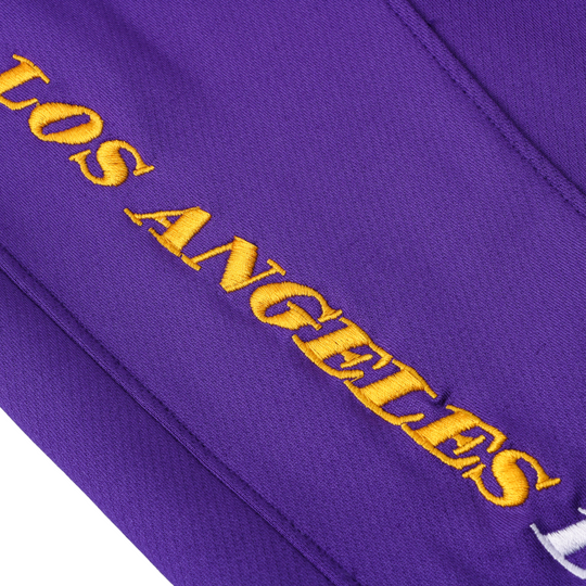 Conjunto Nike NBA Los Angeles Lakers
