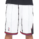 Short NBA Toronto Raptors