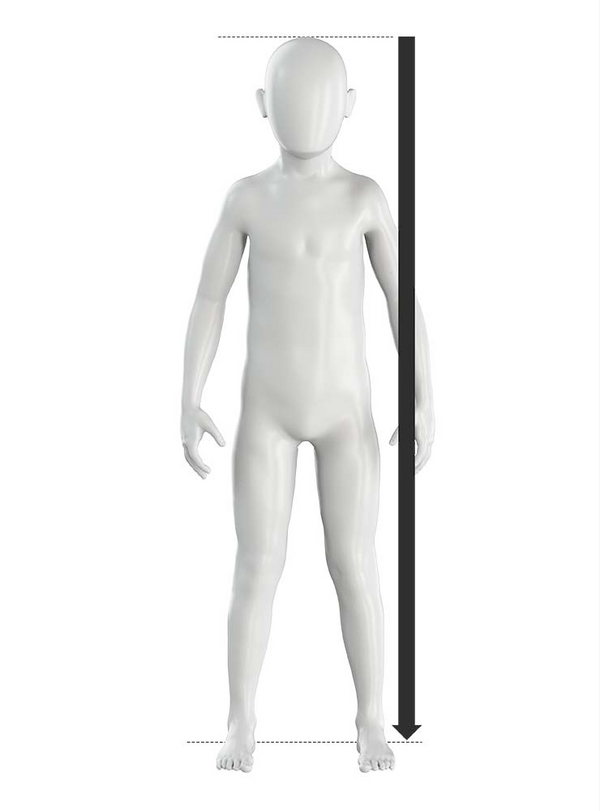 Manequim indicando onde tirar cada medida do corpo